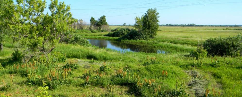 Ульяновская область чердаклинский. Уренбаш Ульяновская область. Старый Уренбаш Чердаклинского района. Чердаклинский район большой Уренбаш. Село Малаевка Чердаклинский район Ульяновская область.