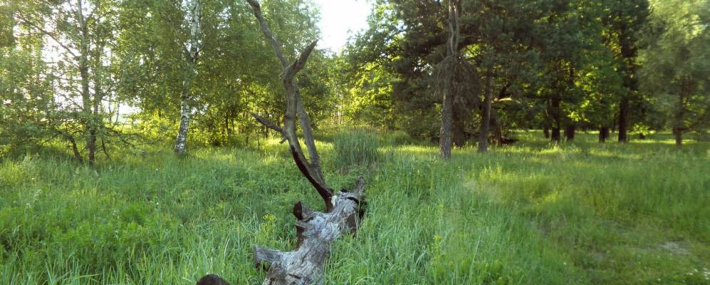 
            Фотография Красного Пахаря