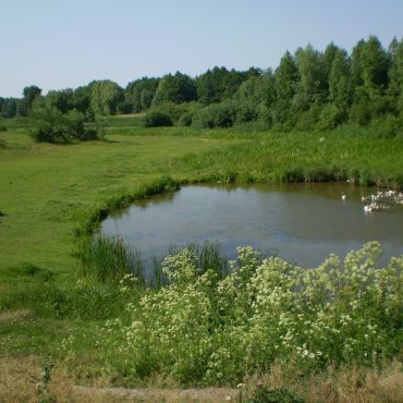 Самгородок