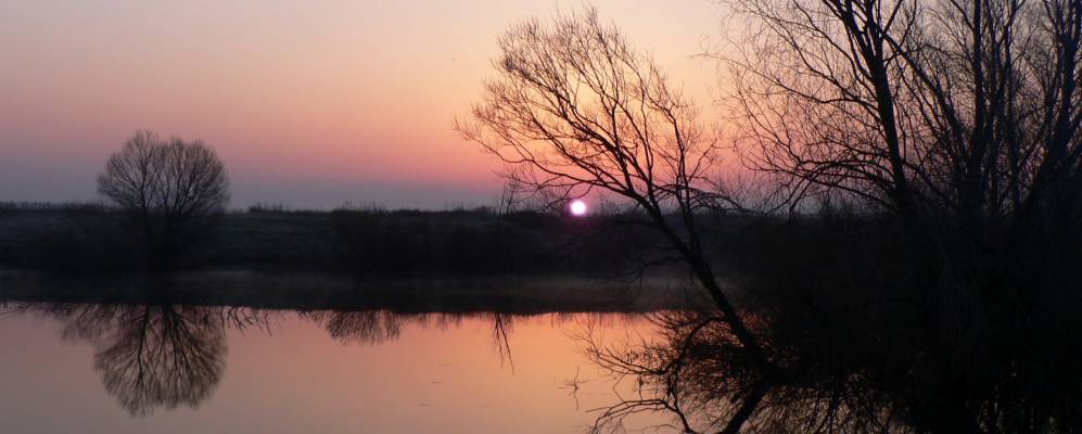 
            Фотография Сомовки