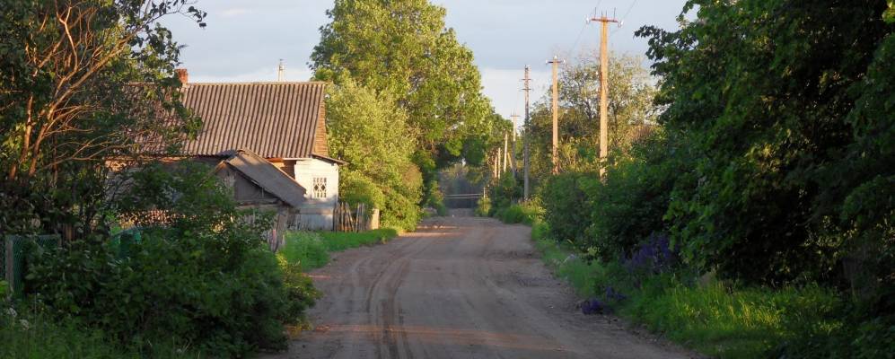 
            Фотография деревни Блынки