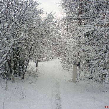 Феськи