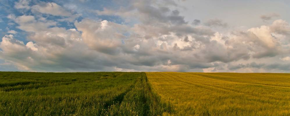 
            Фотография Balatonőszöd