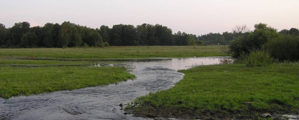 Алтайский край тюменцевский. Село Шарчино Алтайский край. Шарчино Алтайский край Тюменцевский район. Поселок заводской Алтайский край Тюменцевский район. Село заводской Тюменцевский район Алтайский край.