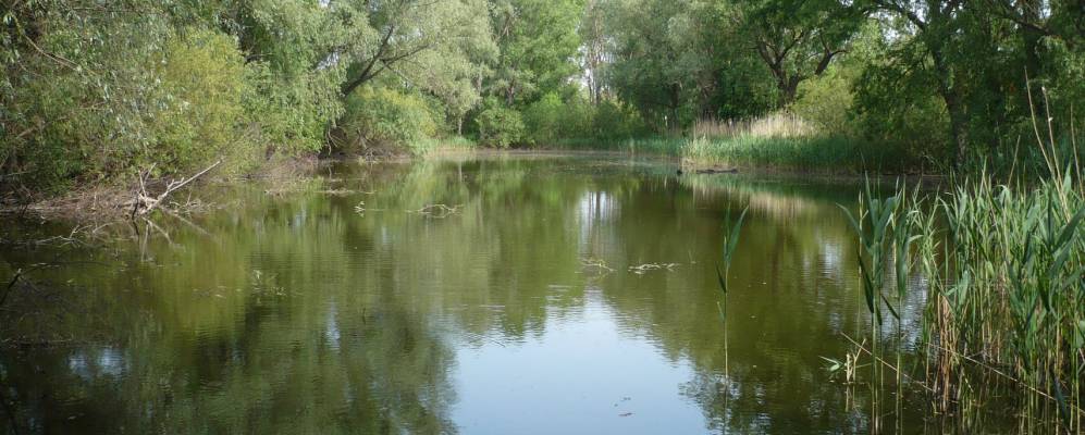 
            Фотография Комаровки