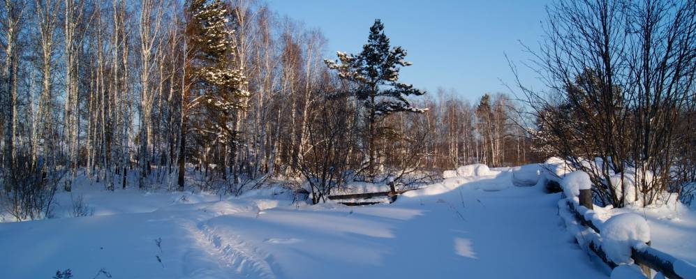 
            Фотография Солдатки