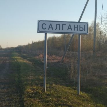 Салганы