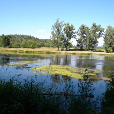 Кулбаево