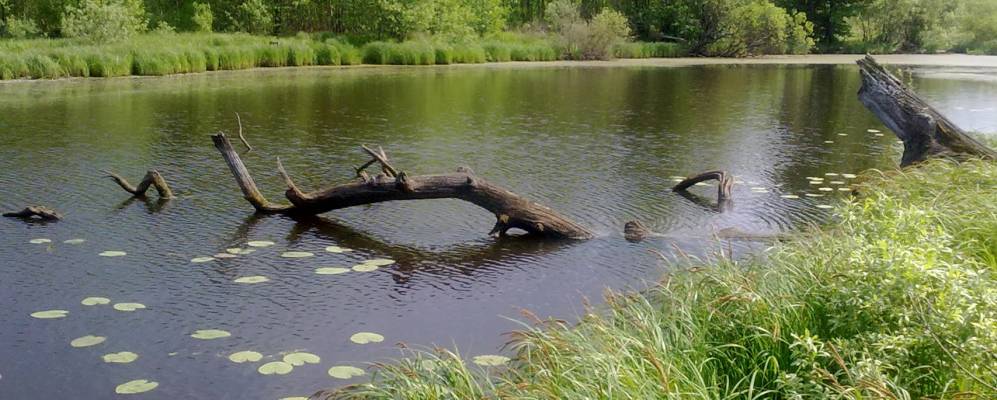 
            Фотография Городеня