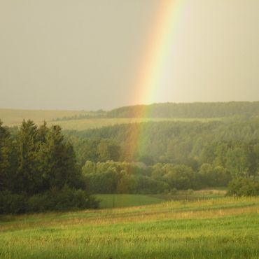 Горохолин Лес