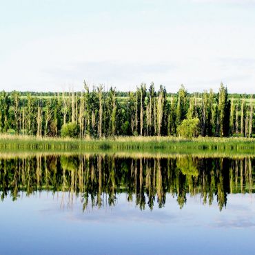 Петровка