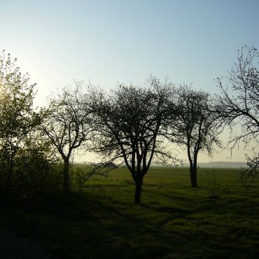 Старые Новаки