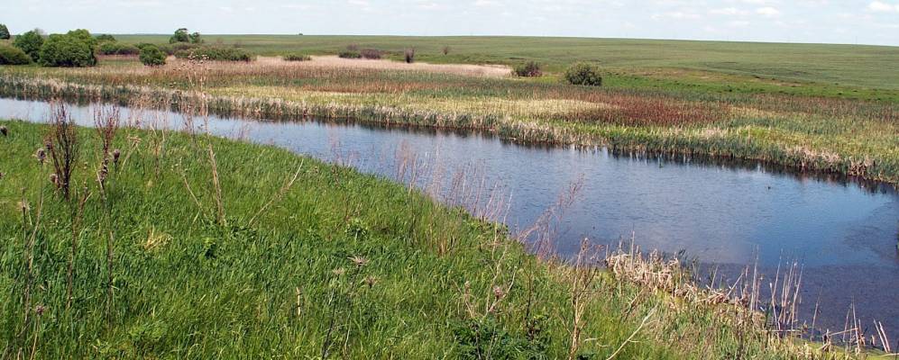 Пристенский курская область. Сазановка Курская область Пристенский район. Черновец Курская область. Курская область село Черновец. Село Сазановка Пристенского района Курской области.