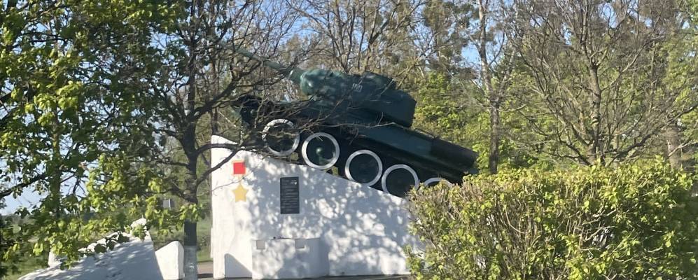 Фотография Любани