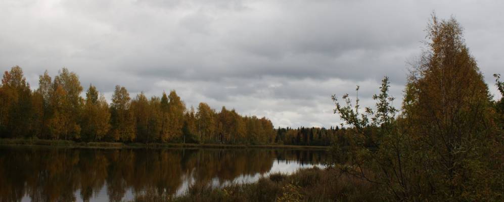 
            Фотография Кузнецово