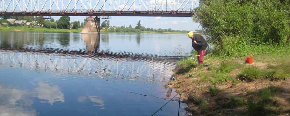 Погода в пола новгородской. Деревня гонцы Новгородская область.