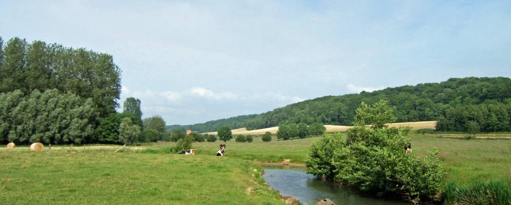 
            Фотография Loison-sur-Créquoise