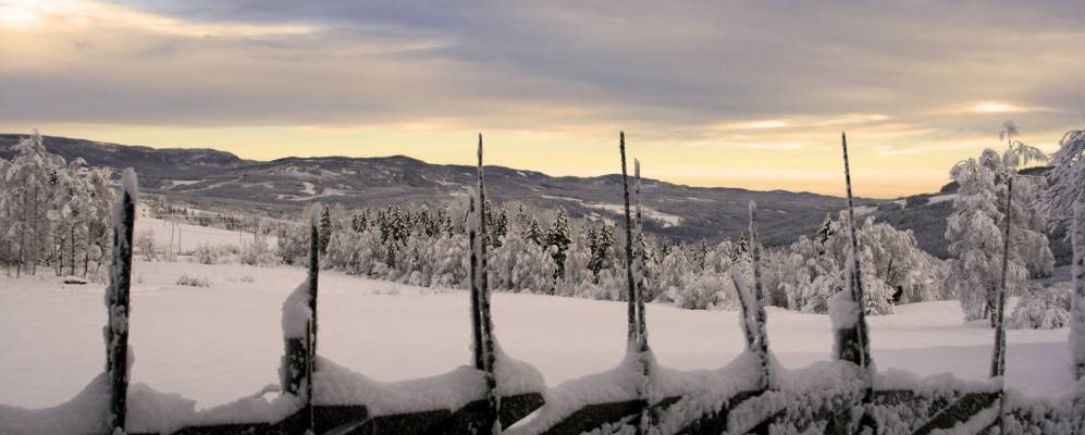 
            Фотография Nord Torpa