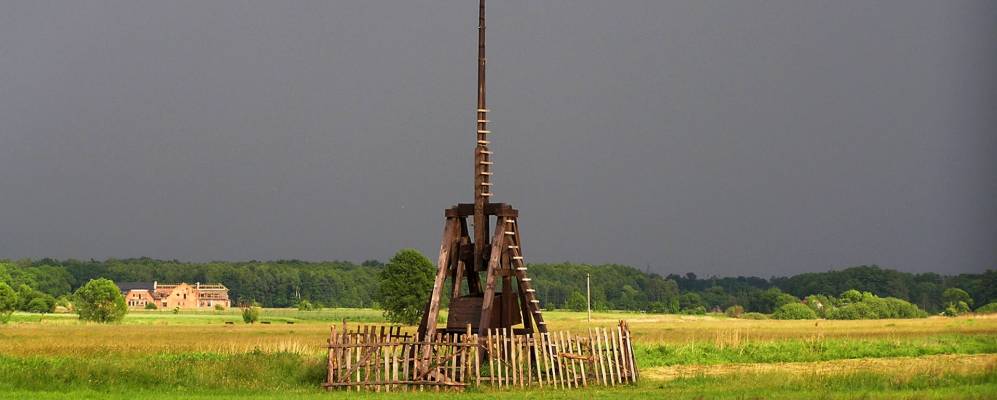 
            Фотография Паниовки