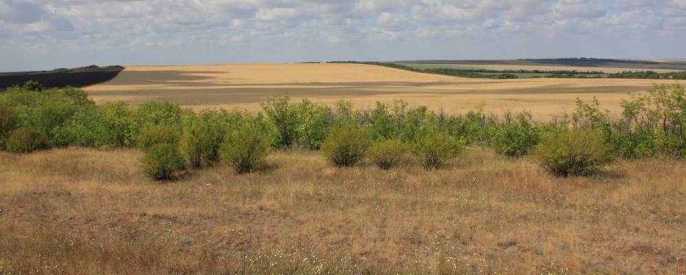 
            Фотография Знаменского