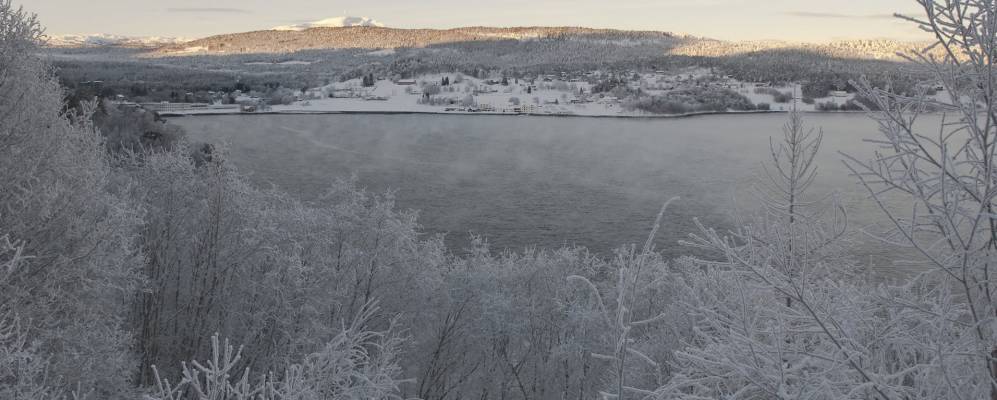 
            Фотография Ангвика