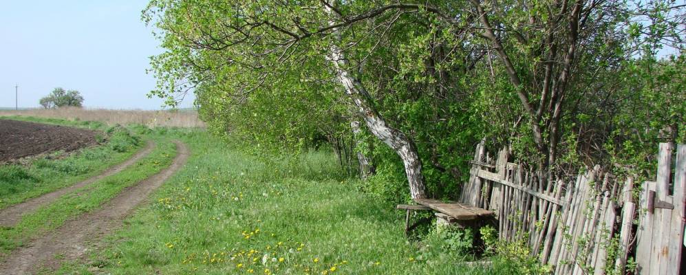 
            Фотография Русско-Лютино