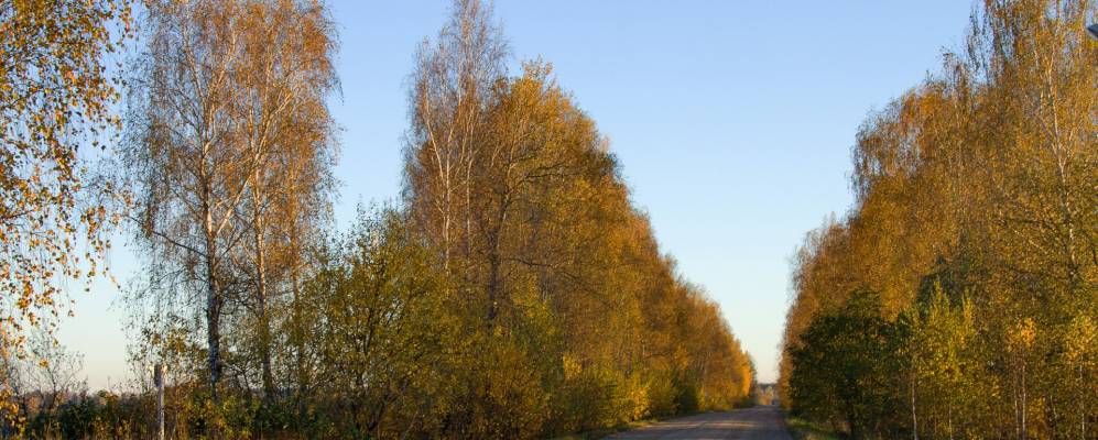 
            Фотография Волчьей Горы