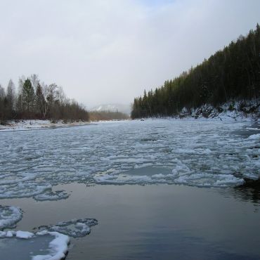 Шорохова