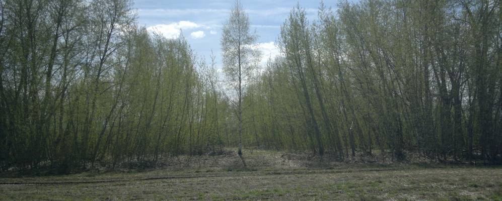 
            Фотография Парфеньево