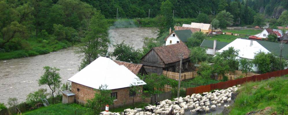 
            Фотография Лунка Брадулуи