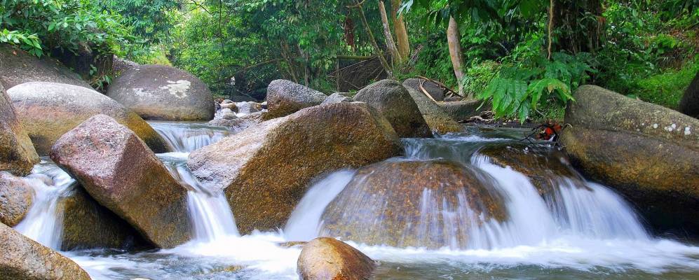 
            Фотография Kalumpang