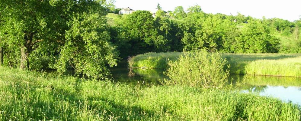 Село уманское. Село Дубово.