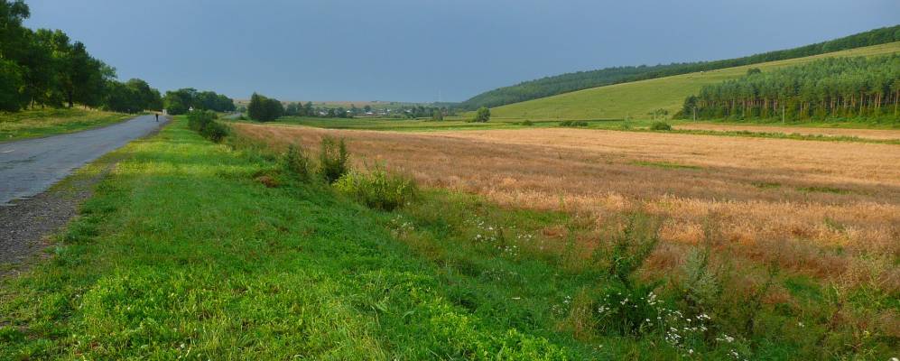 
            Фотография Вербова