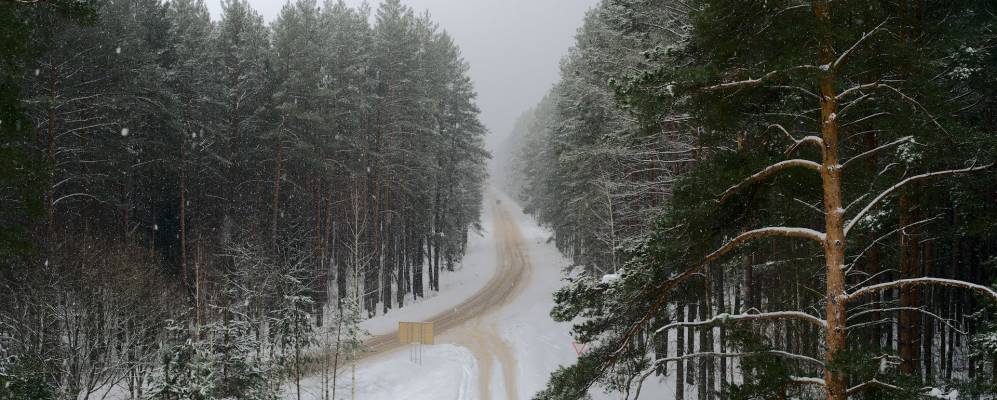 
            Фотография Новониколаевки