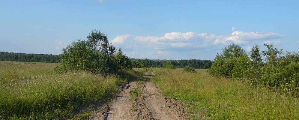 Дер зуево. Зуево Чудовский район. Деревня Облучье Чудовский район. Деревня Зуево Чудовский район. Деревни Чудовского района Новгородской области.