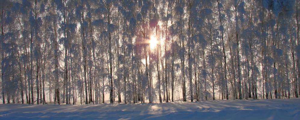 
            Фотография Шахаево