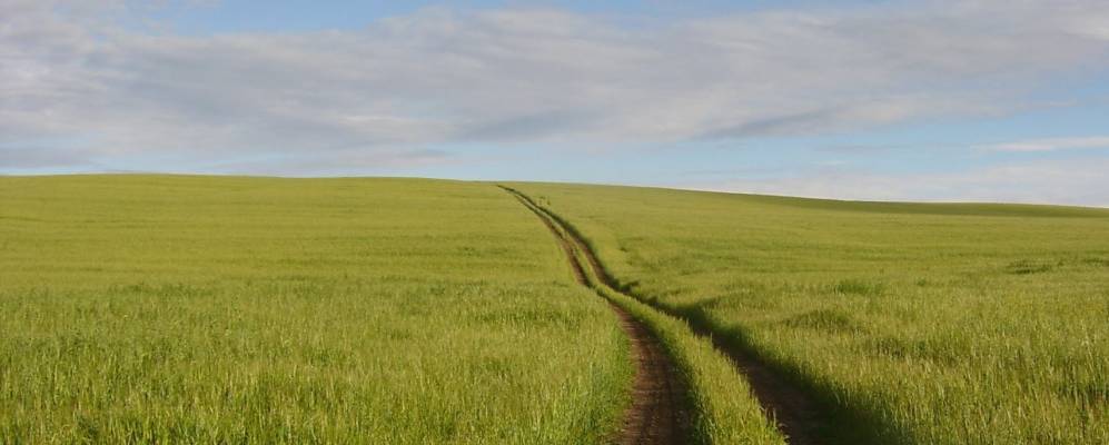 
            Фотография Вырыпаево