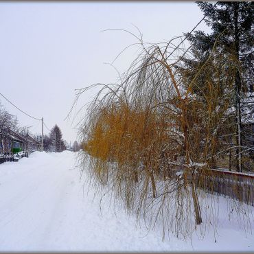 Троицкий