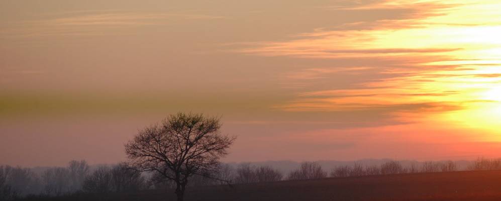 
            Фотография Mars-sur-Allier