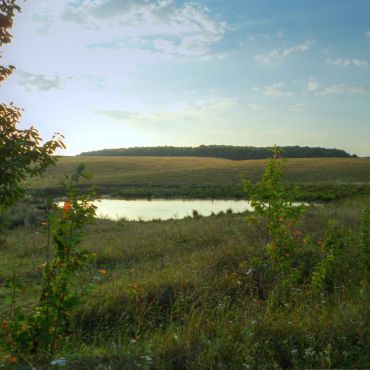 Петровка