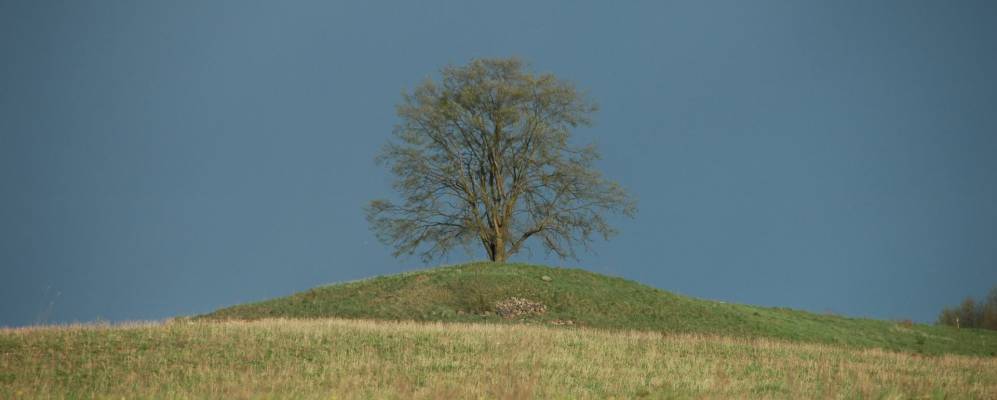 
            Фотография Стары-Джучи