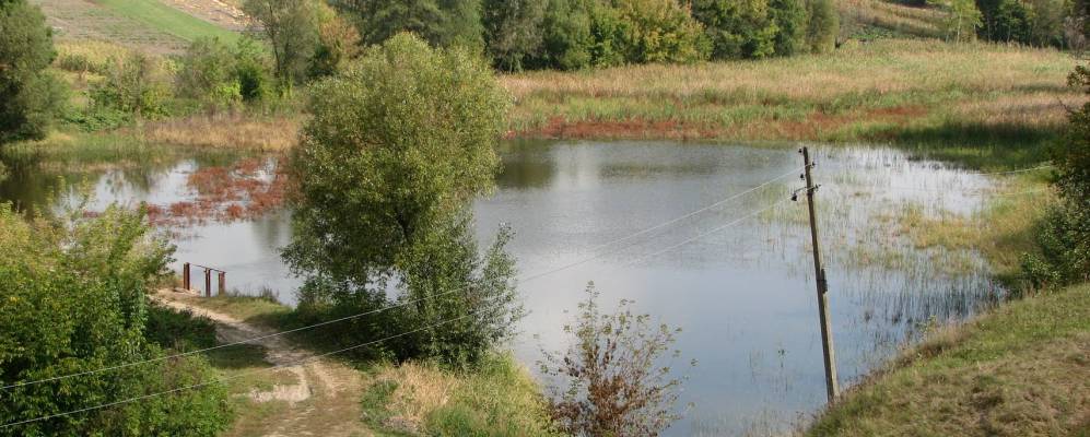 Фотография Яструбинцы