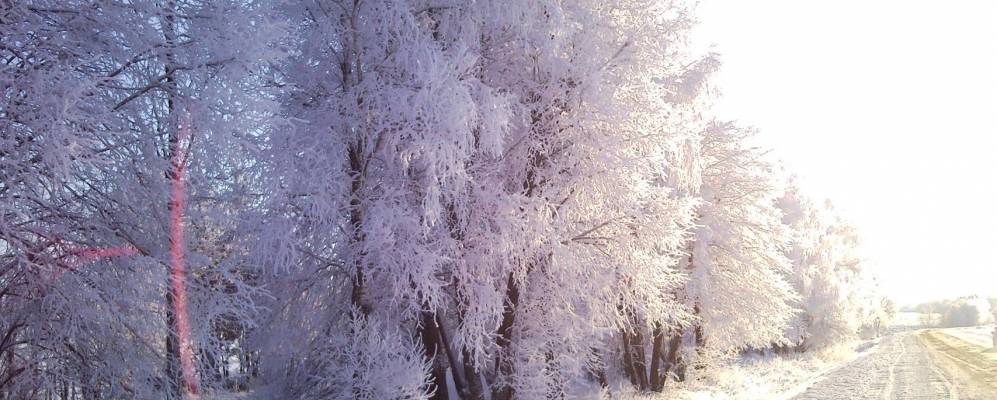 
            Фотография Радинска