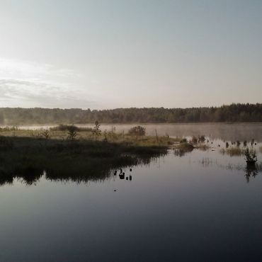 Черемуховица