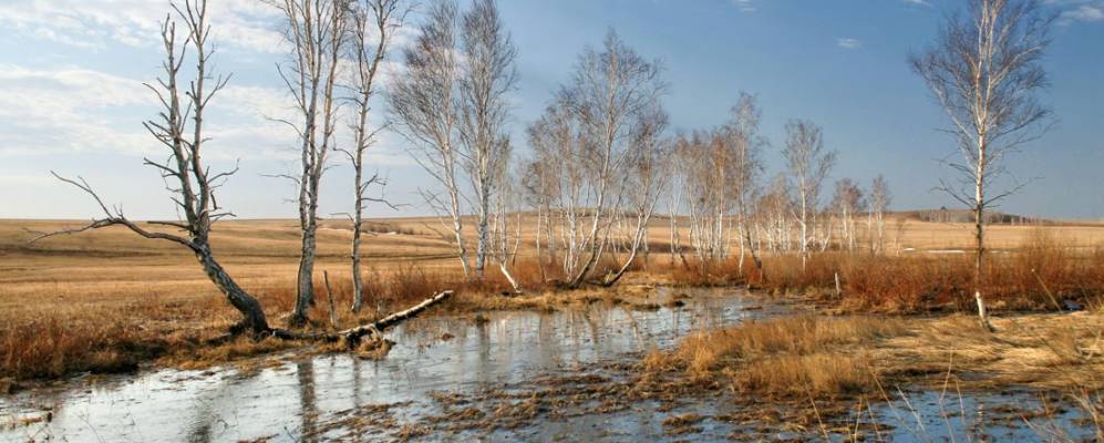 
            Фотография Васильевки