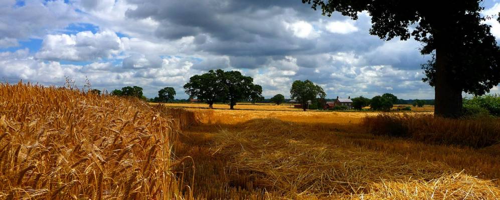 
            Фотография Stillingfleet