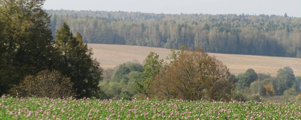 
            Фотография Городни