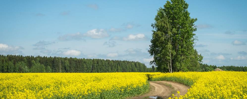 
            Фотография Юшковки