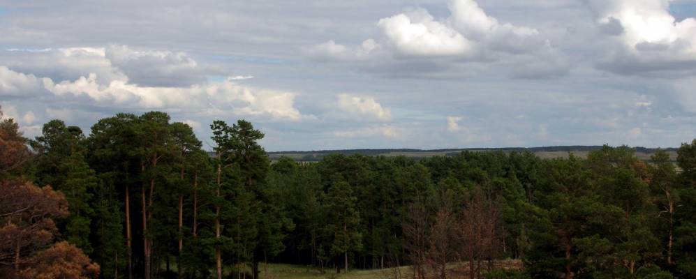 Село боровое челябинская область. Брединский район поселок Новогеоргиевский. Брединский Бор. Бреденски Бор Челябинской области. Боровое Челябинская область.