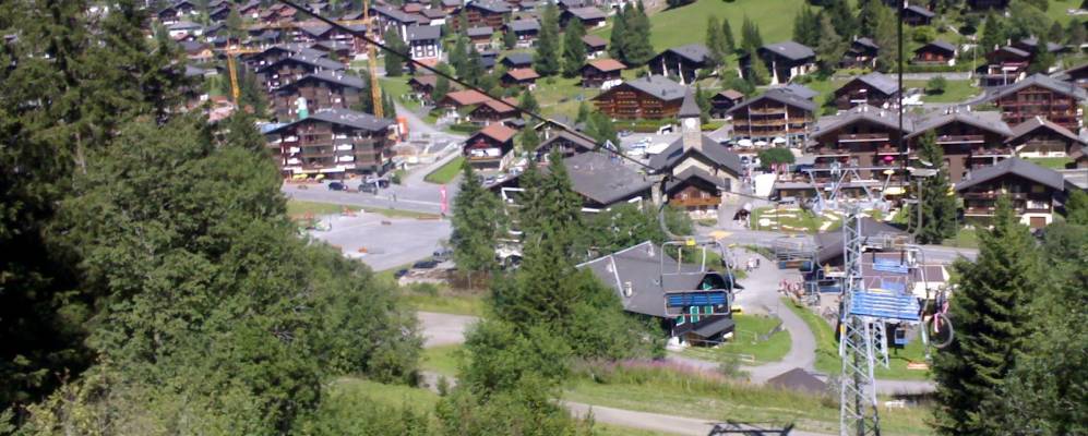 Фотография Моргинса